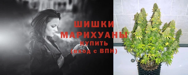 соль ск Алзамай