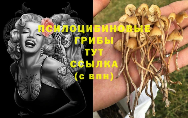соль ск Алзамай