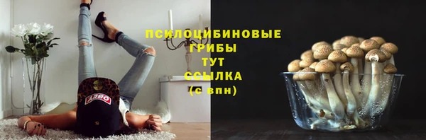 меф Алексин
