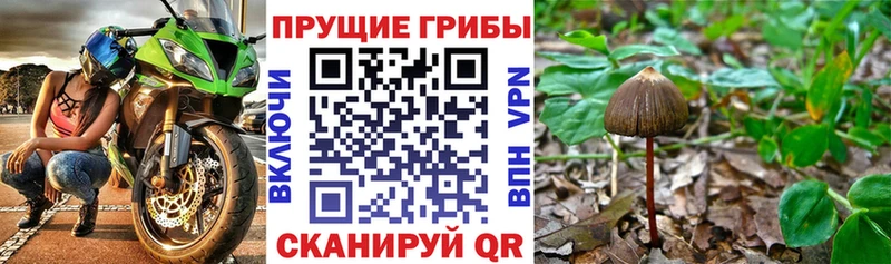 Псилоцибиновые грибы Magic Shrooms  Анжеро-Судженск 